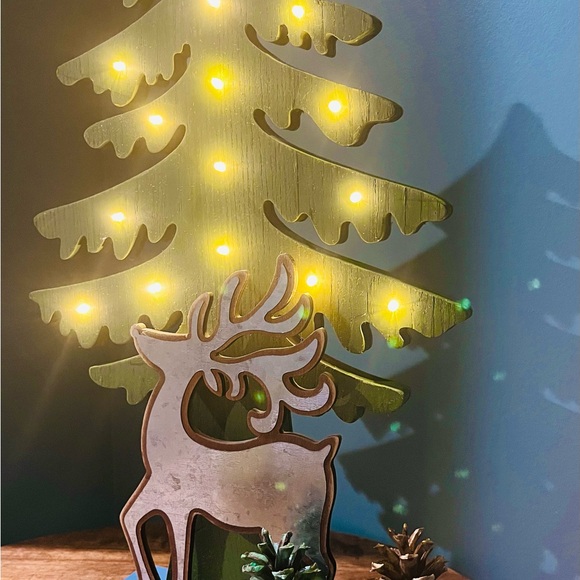 LIGHTED HOME DECOR - Picture 8 of 8